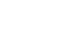 platinum-solution-partner